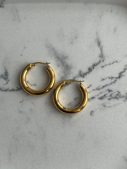 Melissa Hoops